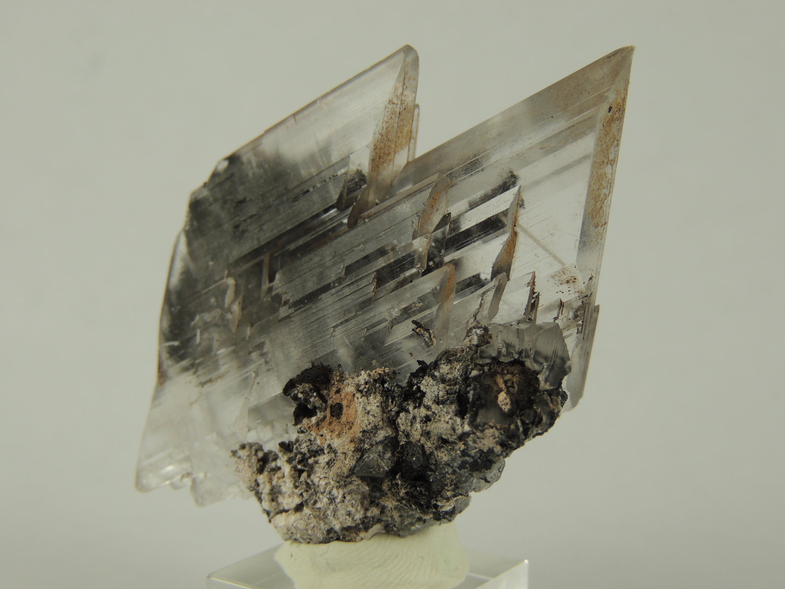 Gypsum (var. selenite)
5.5 x 4 x 2.4 centimeters
(Autor: Ricardo Melendez)