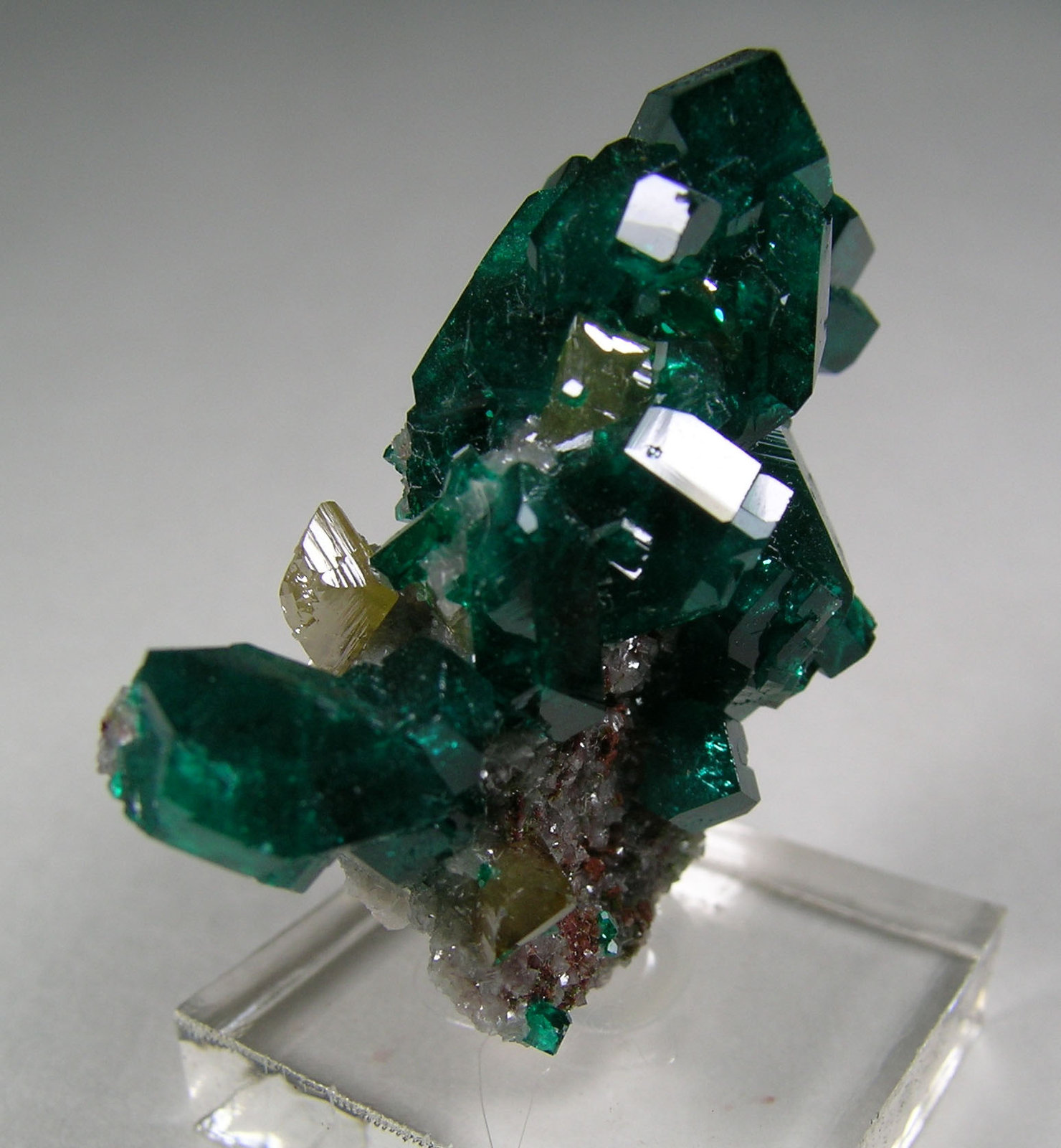 Dioptase and Wulfenite
(Autor: bob kerr)