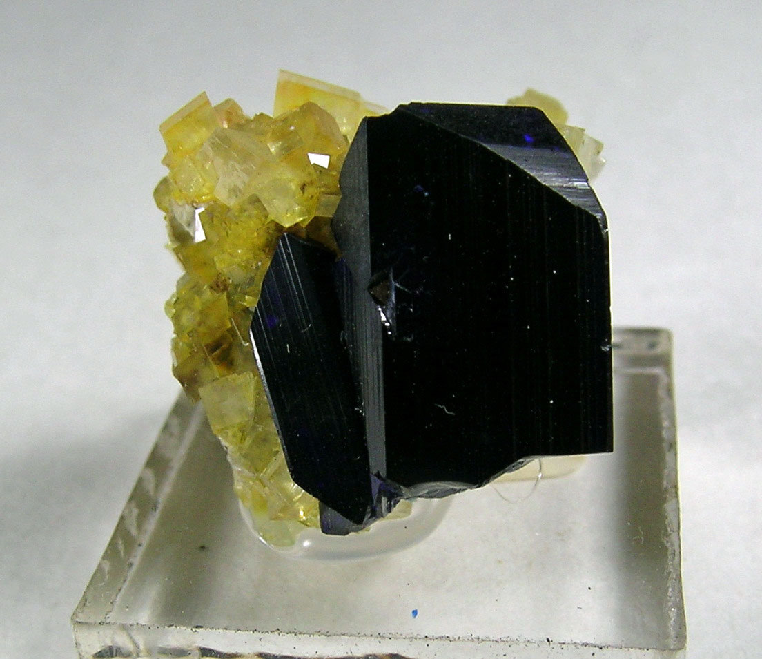 Azurite and Calcite
(Autor: bob kerr)