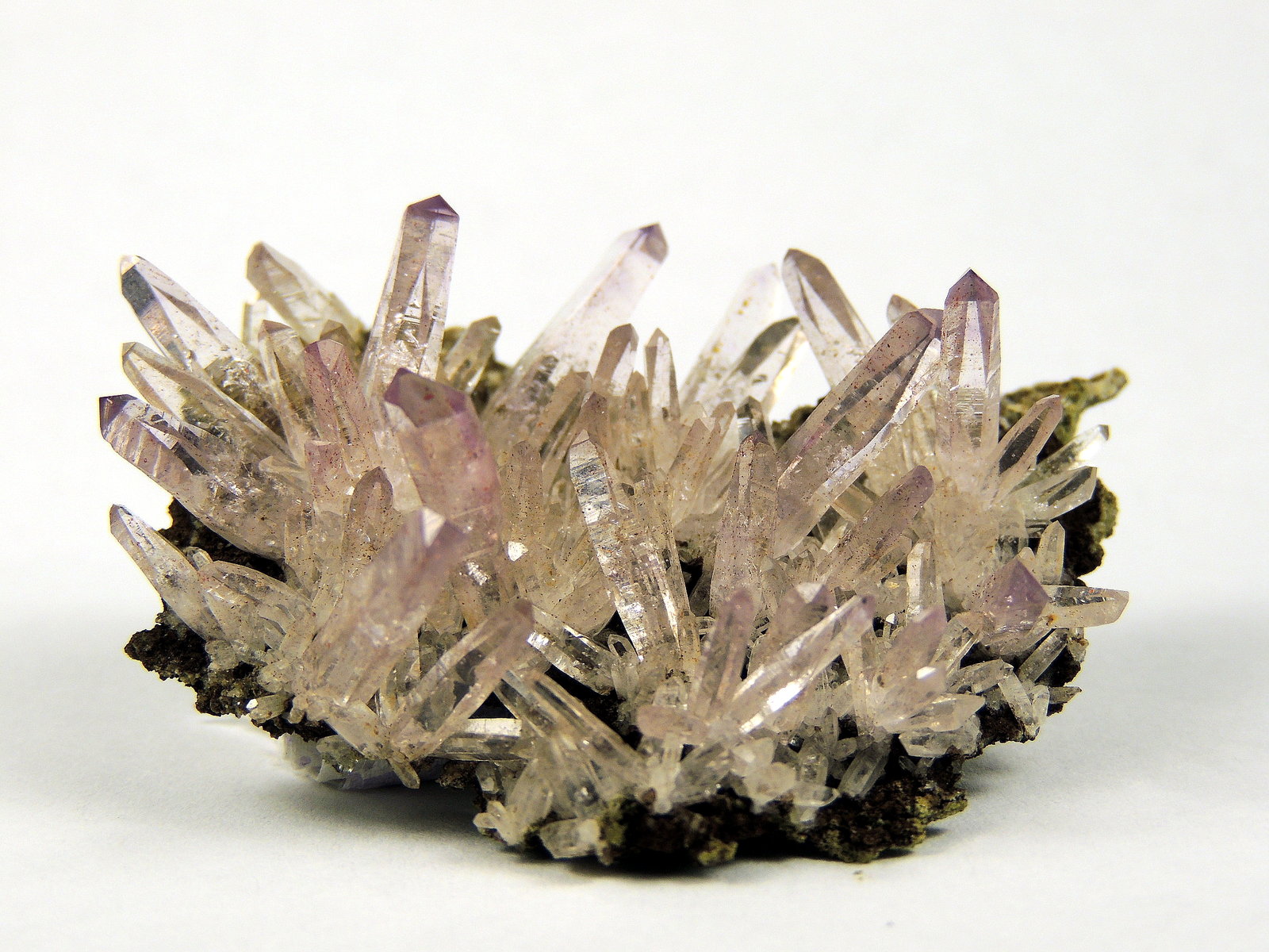 Quart (variety amethyst)
5.5 x 4.3 x 2.2 centimeters
(Autor: Ricardo Melendez)