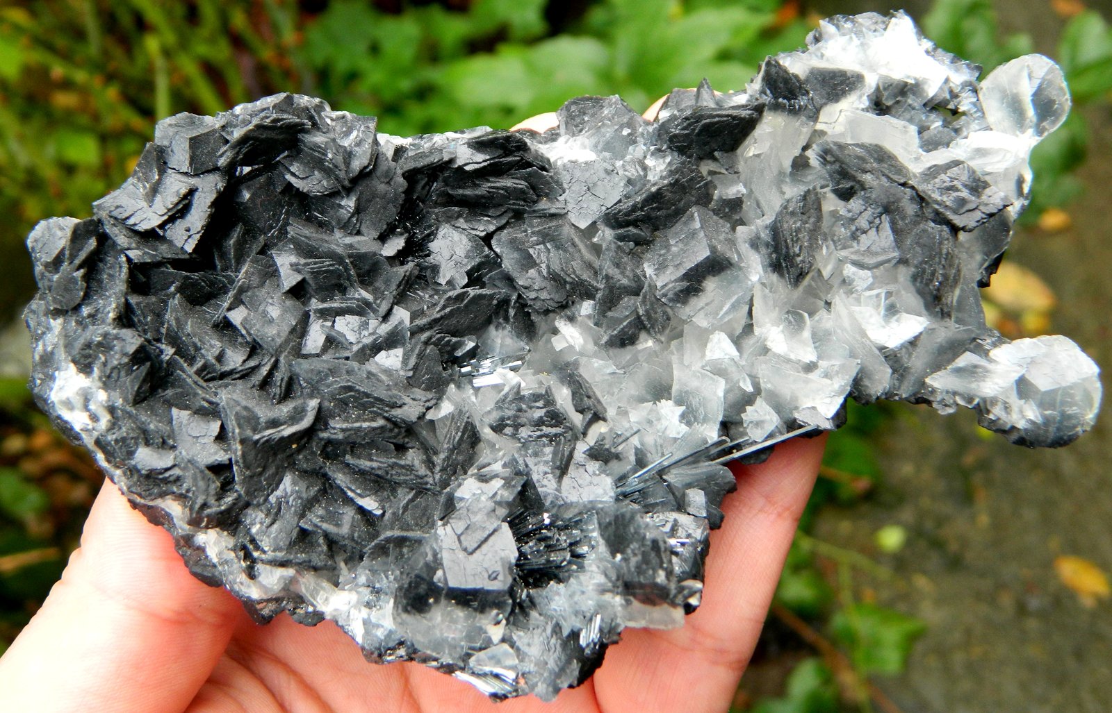 Calcite with Jamesonite inclusions and Stibnite
~ 11.5 cm L
(Autor: Deyu)