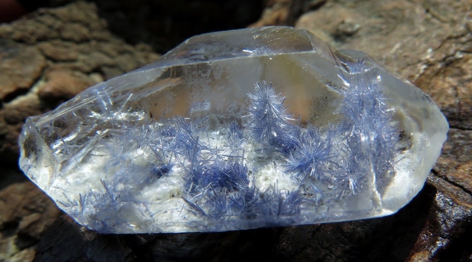 Dumortierite in Quartz
35 mm. x 18 mm. x 10 mm.
(Autor: Val)