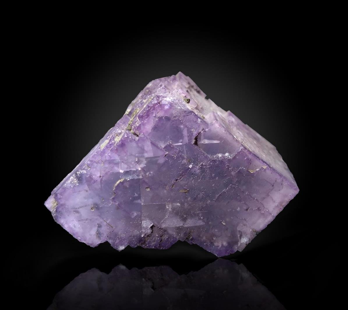 Fluorite
40 x 25 x 20 mm
(Autor: SunYi)