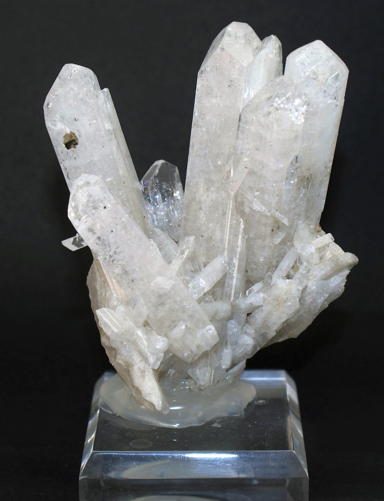 Danburite and Pyrite
80mm x 70mm x 45mm
(Autor: Philippe Durand)