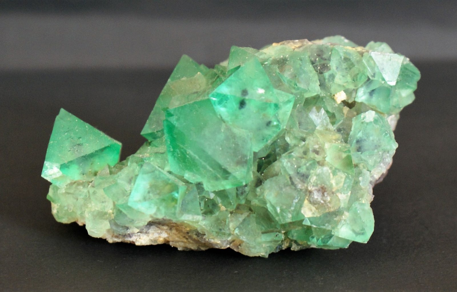 Fluorite
85mm x 60mm x 60mm
(Autor: Philippe Durand)