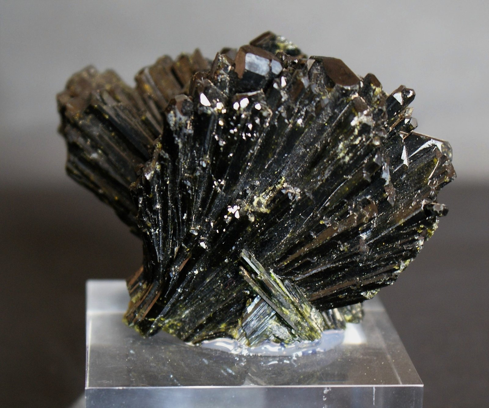 Epidote
60mm x 45mm x 40mm
(Autor: Philippe Durand)