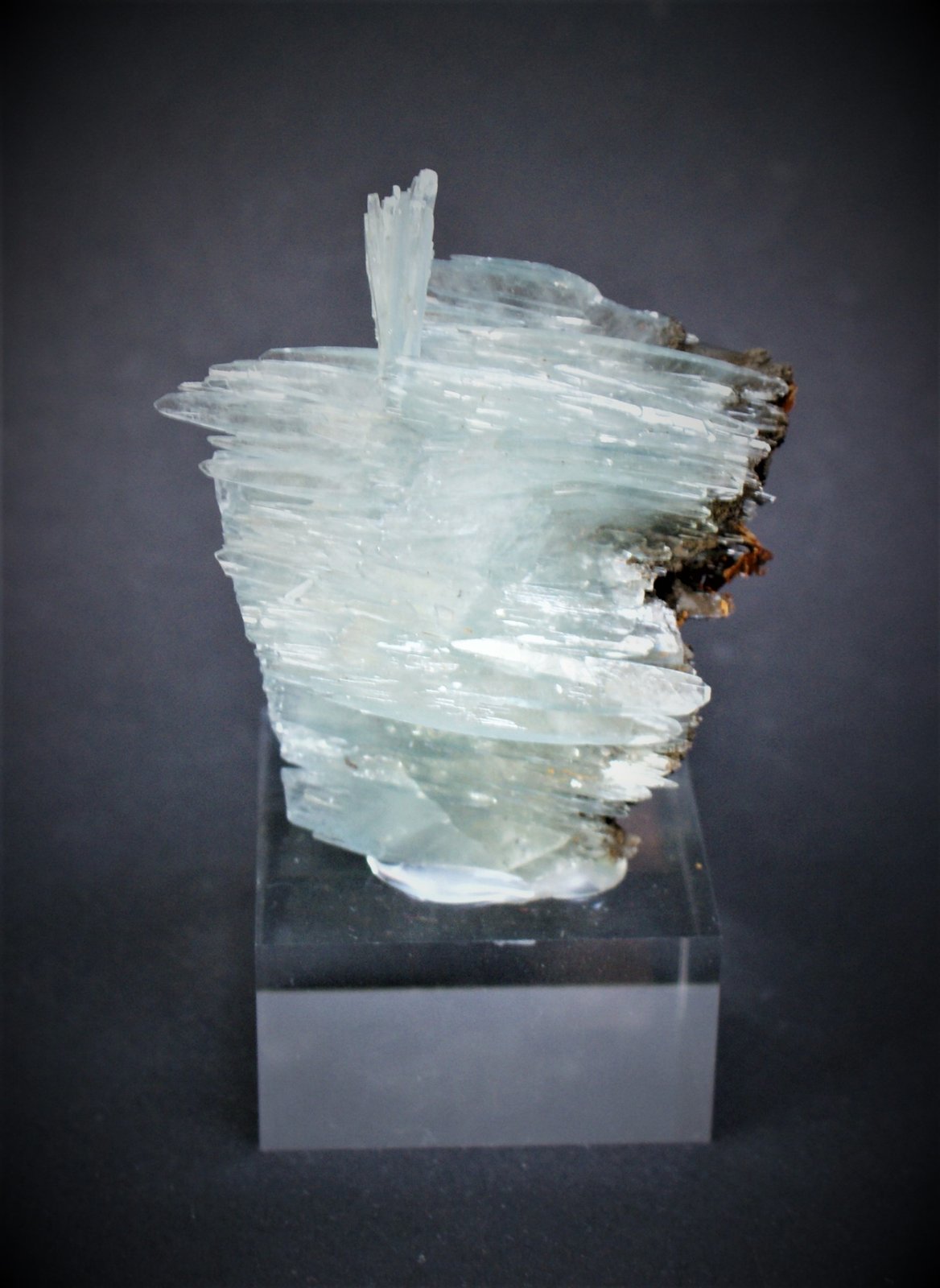 Barite
65mm x 55mm x 15mm
(Autor: Philippe Durand)