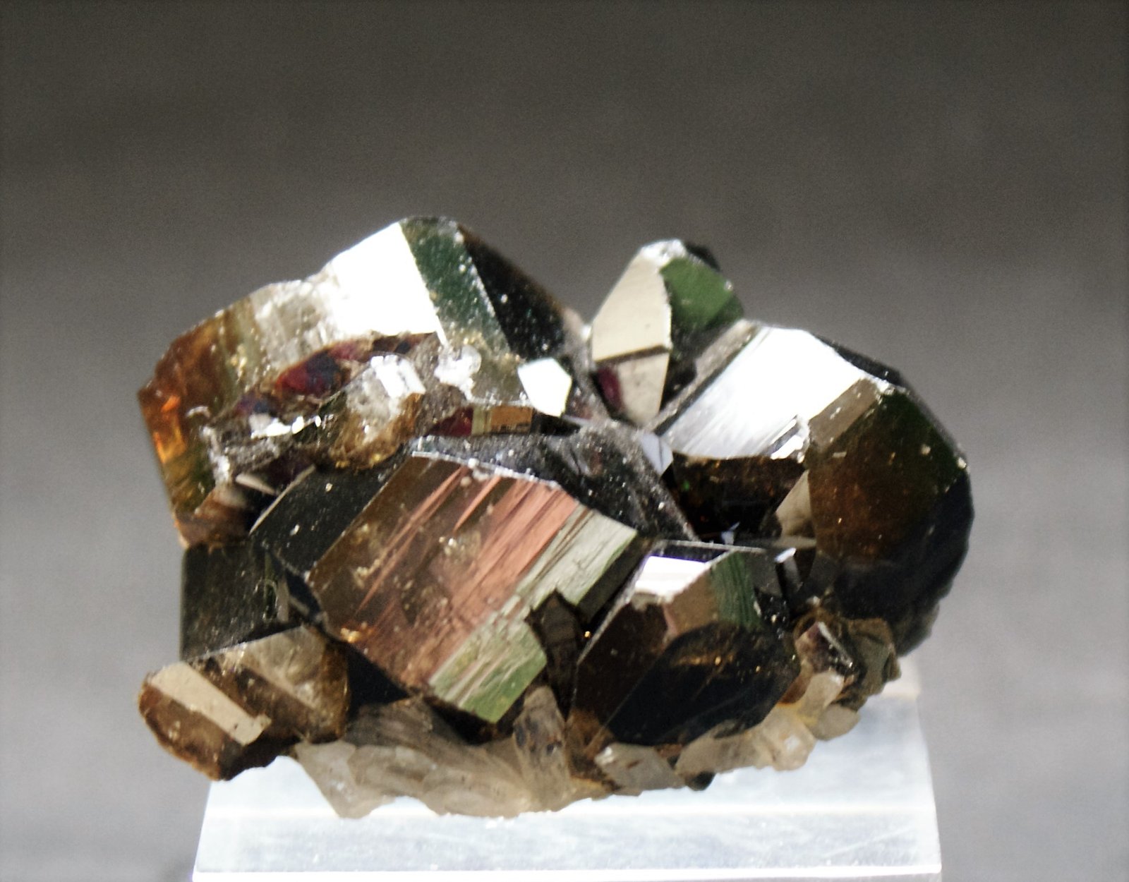 Cassiterite
45mm x 30mm x 25mm
(Autor: Philippe Durand)
