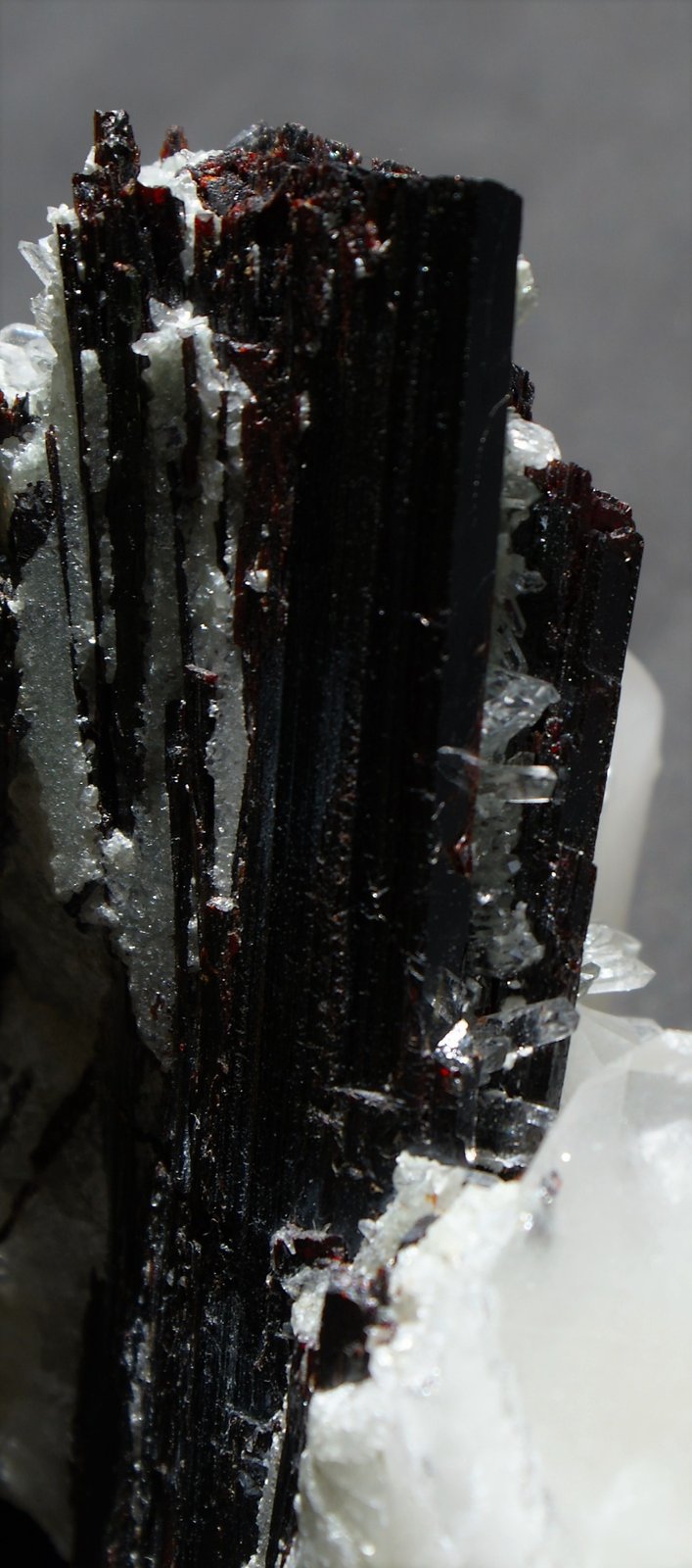 Hübnerite and Quartz
135mm x 100m x 50mm
(Autor: Philippe Durand)