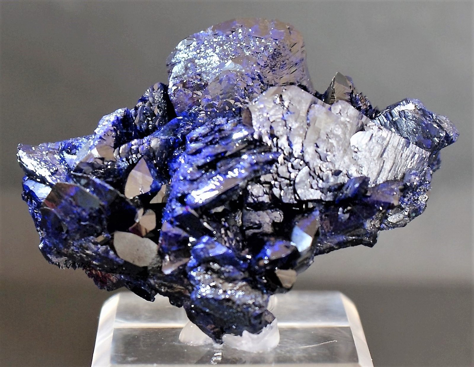 Azurite
60mm x 45mm x 30mm
(Autor: Philippe Durand)