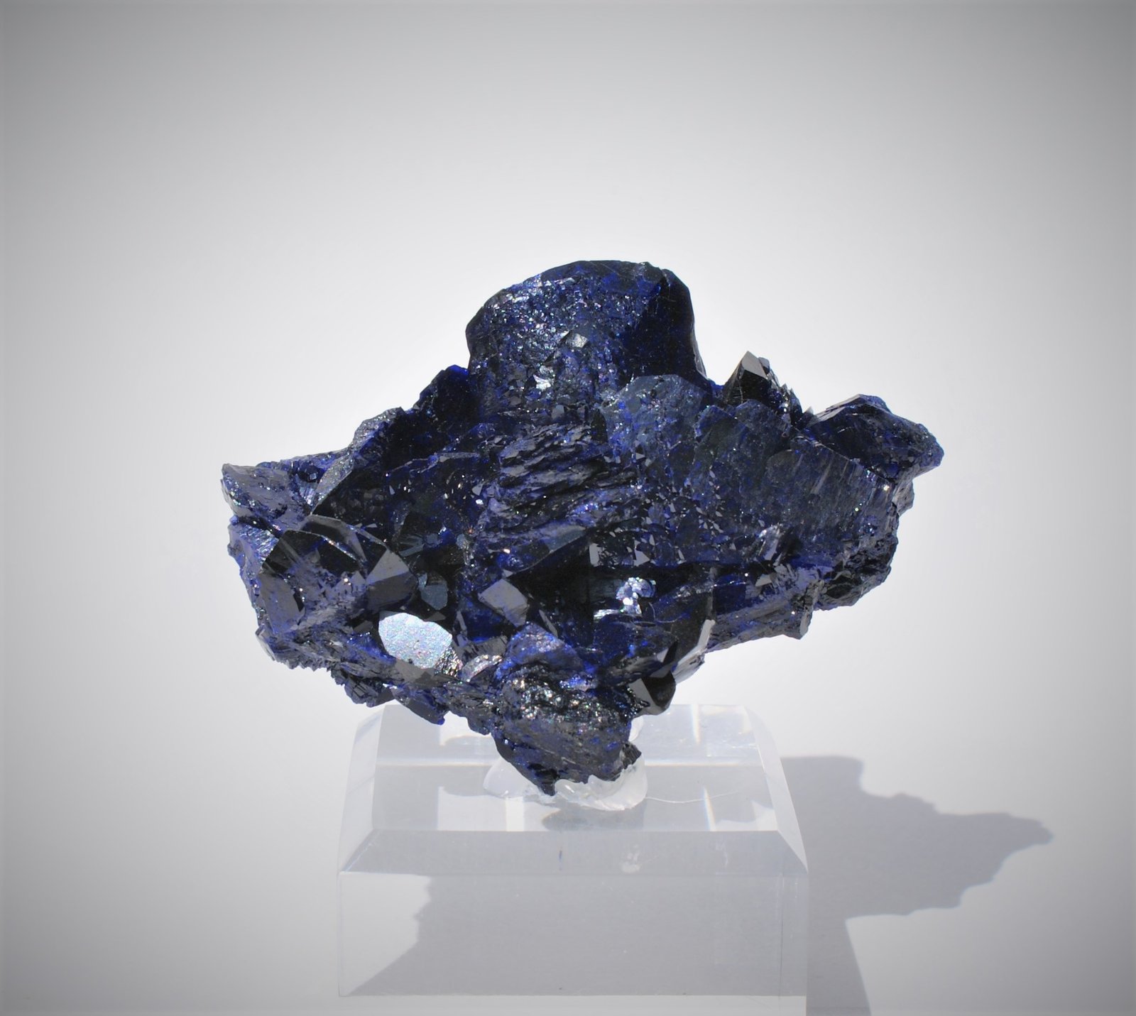 Azurite
60mm x45mm x 30mm
(Autor: Philippe Durand)