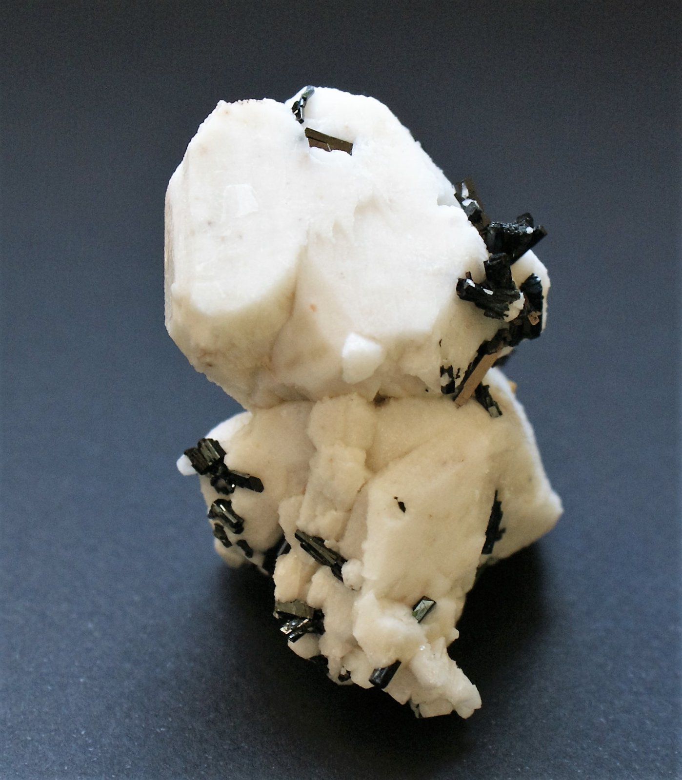 Orthoclase with Aegirine and Zircon
60mm x 60mm x 45mm
(Autor: Philippe Durand)
