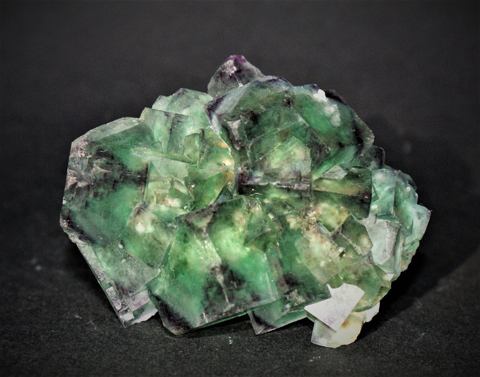 Fluorite
75mm x 60mm x 25mm
(Autor: Philippe Durand)