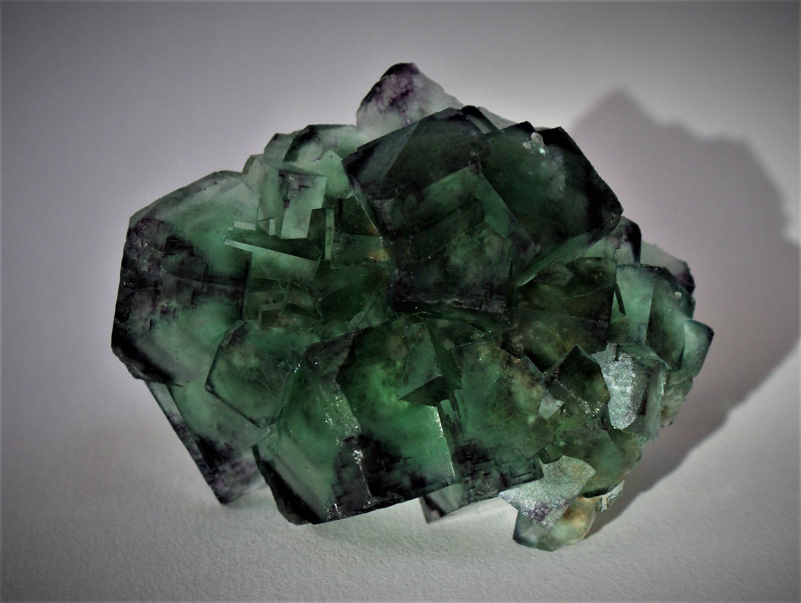 Fluorite
75mm x 60mm x 25mm
(Autor: Philippe Durand)