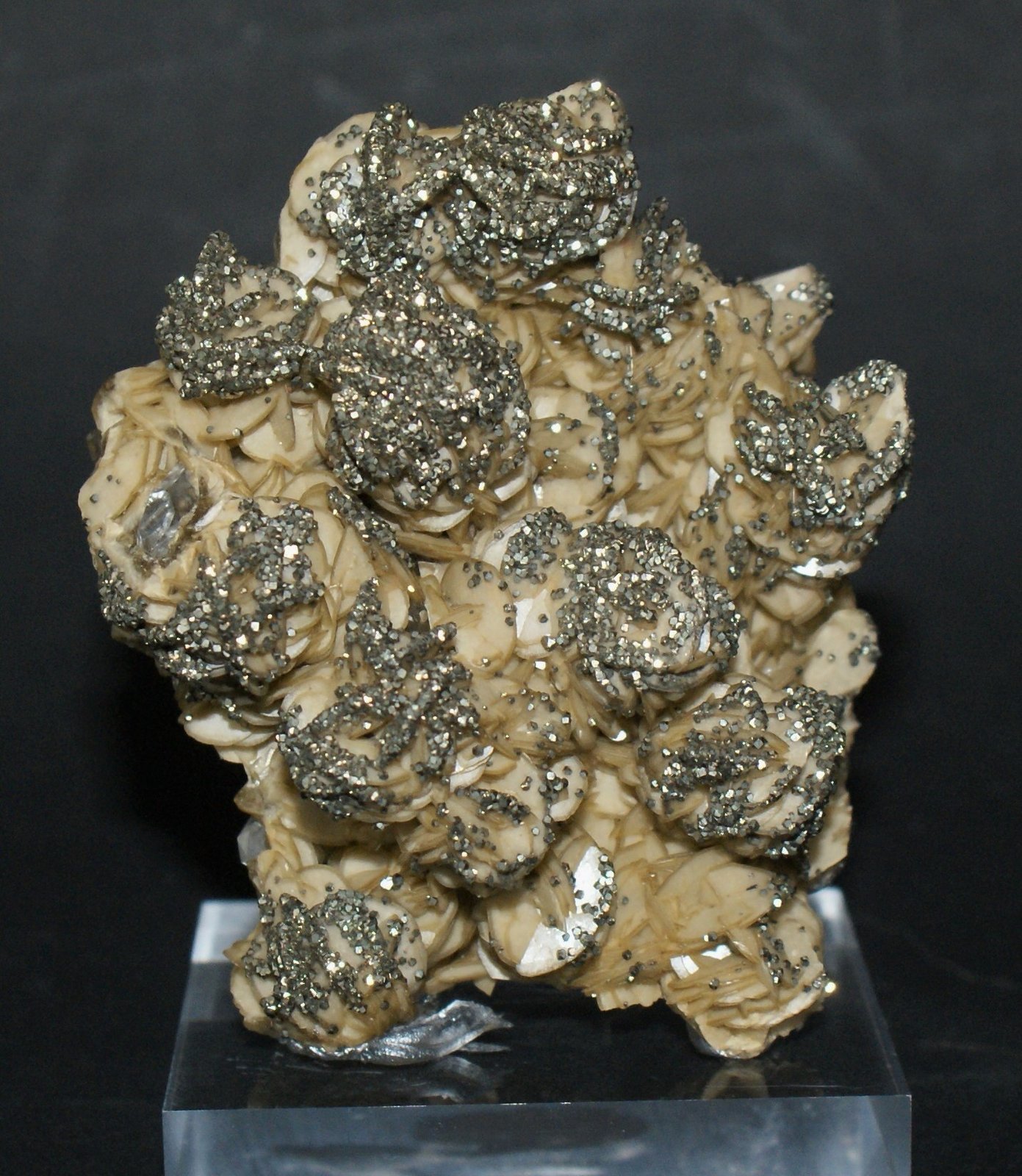 Siderite with Pyrite
65mm  x  55mm
(Autor: Philippe Durand)