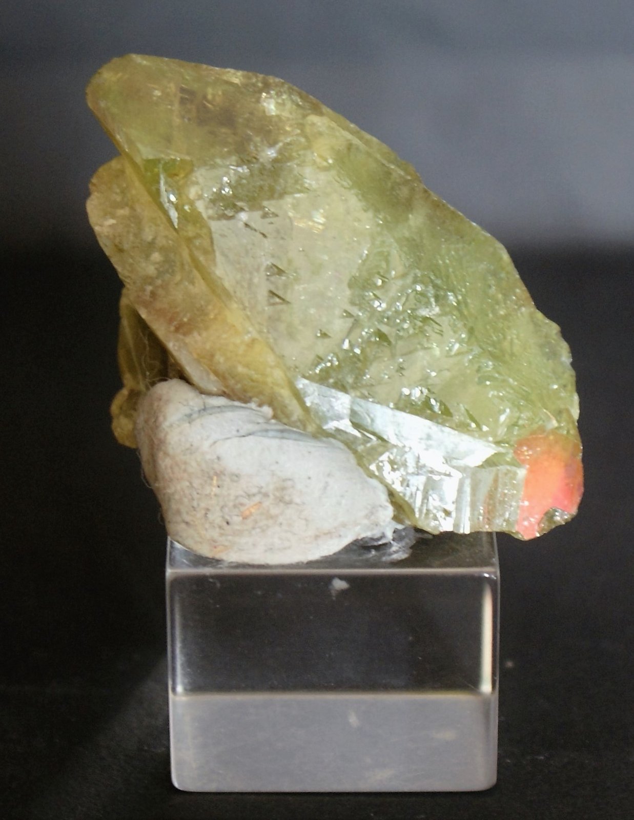 Titanite
55mm x 30mm x 25mm
(Autor: Philippe Durand)