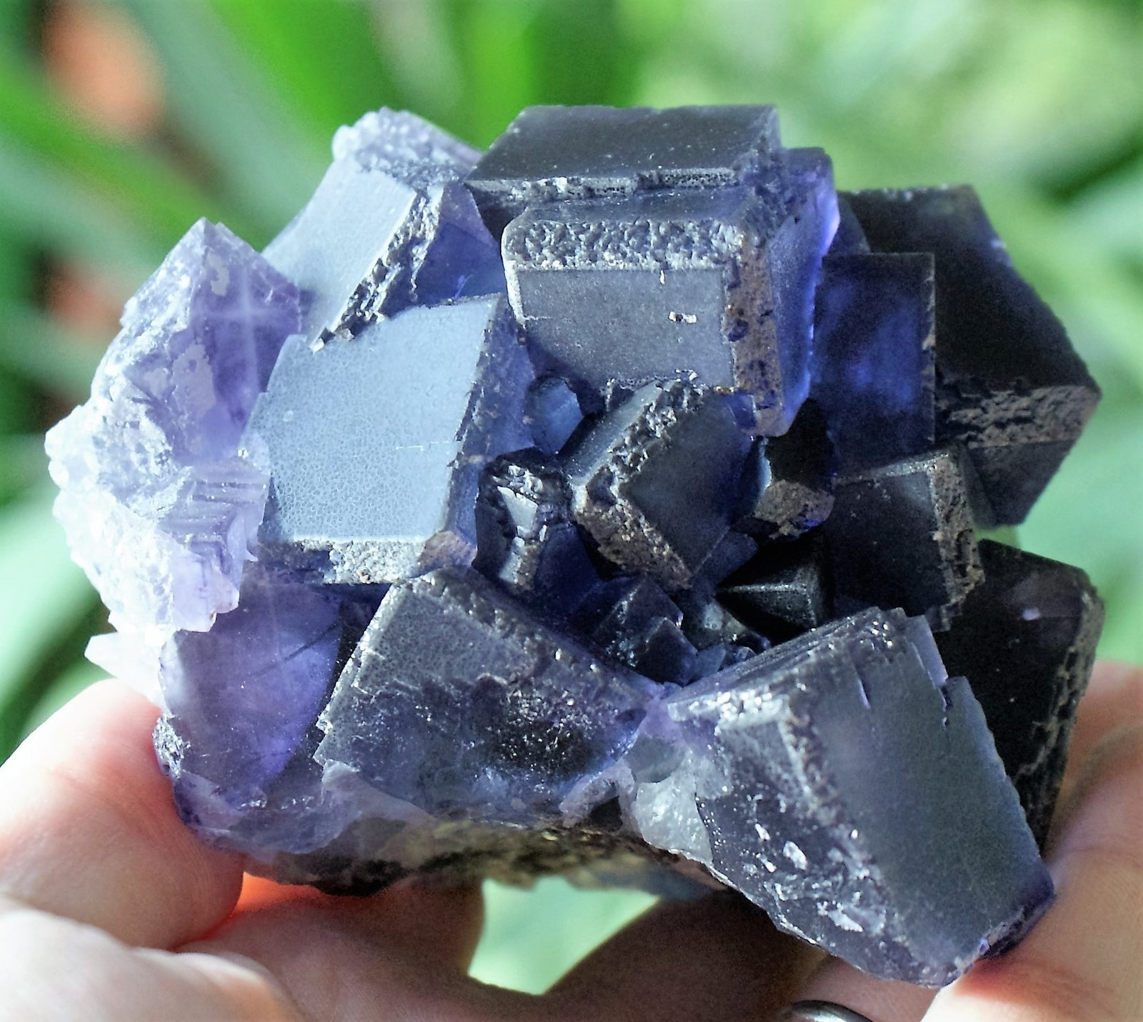 Fluorite
100mm x 90mm x 80mm
(Autor: Philippe Durand)