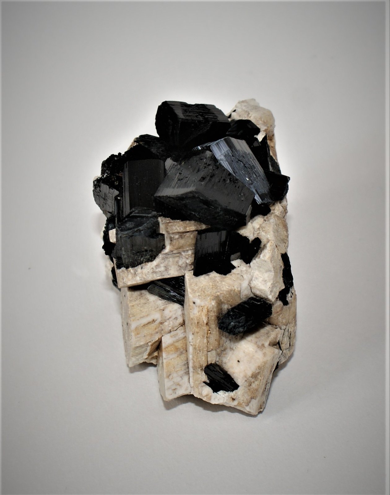 Arfvedsonite and microcline
55mm 40mm x 40mm
(Autor: Philippe Durand)