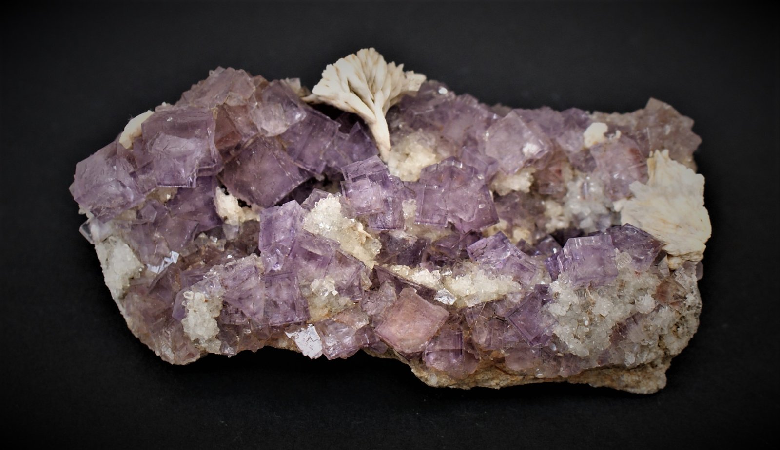 Fluorite and Barite
115mm x 65mm x 40mm
(Autor: Philippe Durand)
