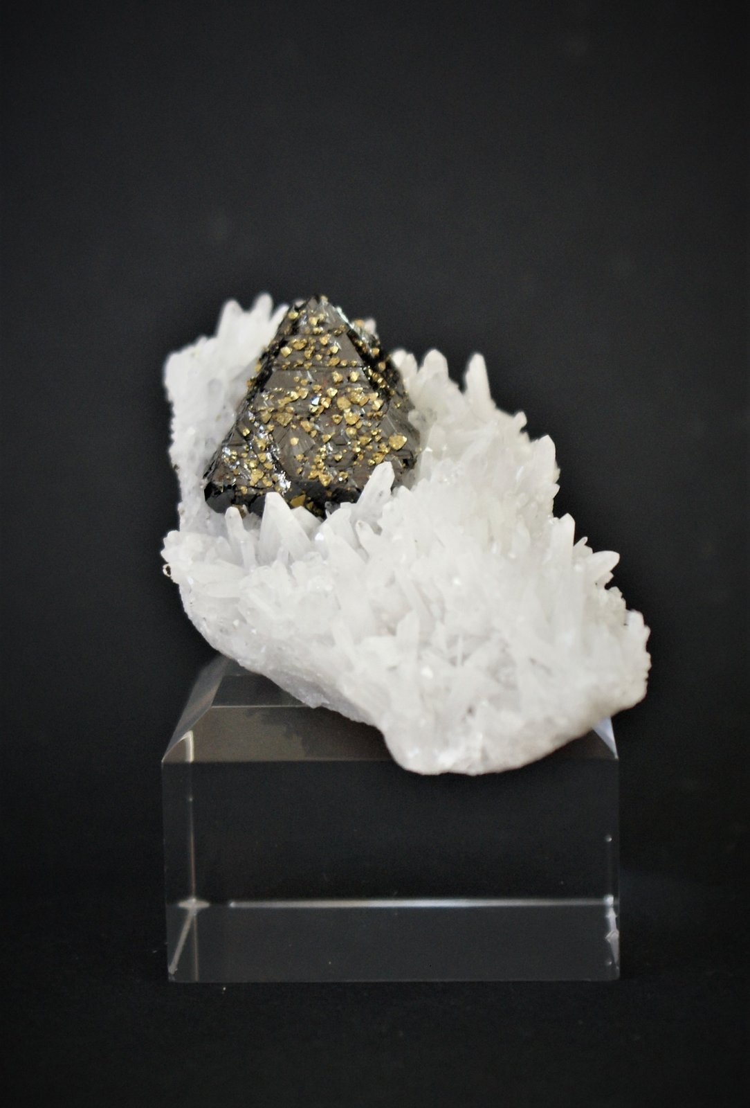 Sphalerite and Quartz
75mm x 40mm x 25mm
(Autor: Philippe Durand)