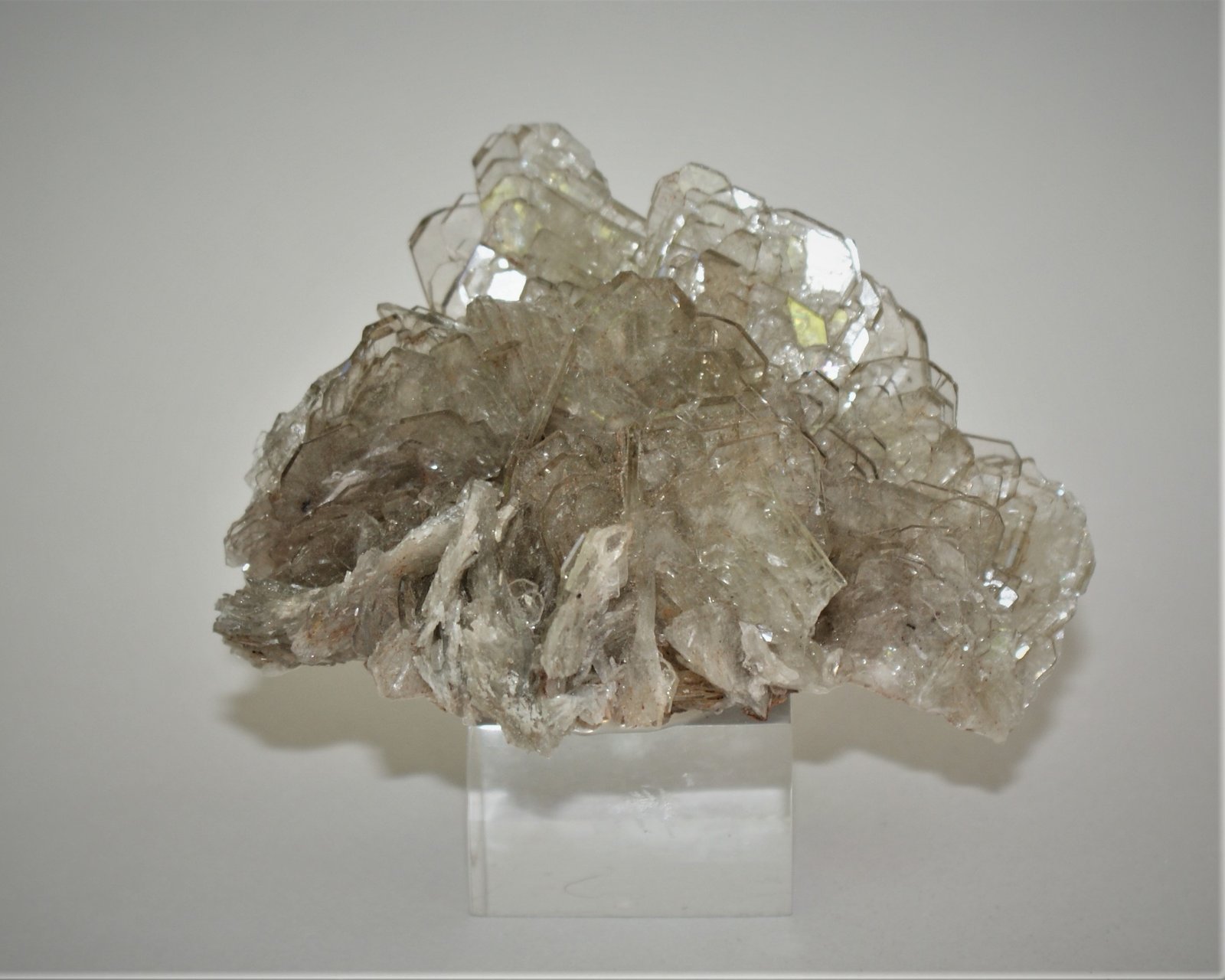 Baryte
80mm x 45mm x 50mm
(Autor: Philippe Durand)