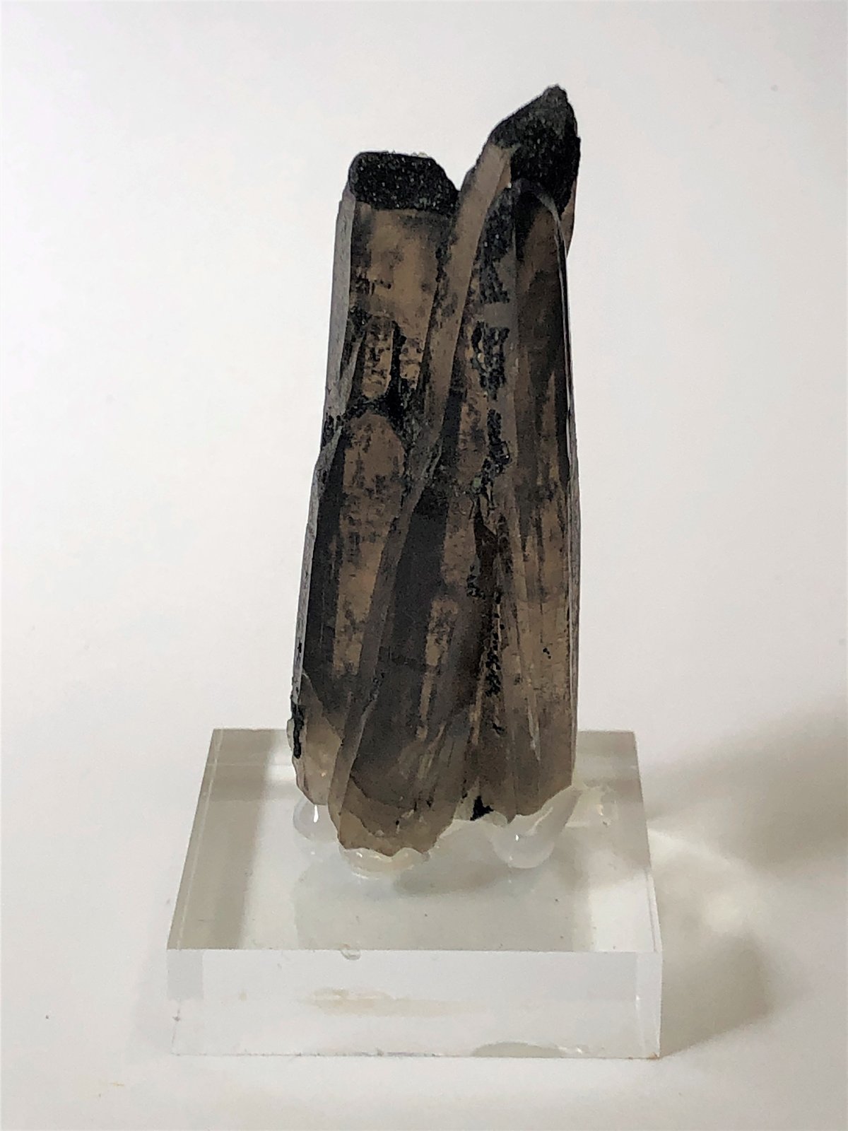Quartz (variety smoky)
70mm x 30mm  x 20mm
(Autor: Philippe Durand)