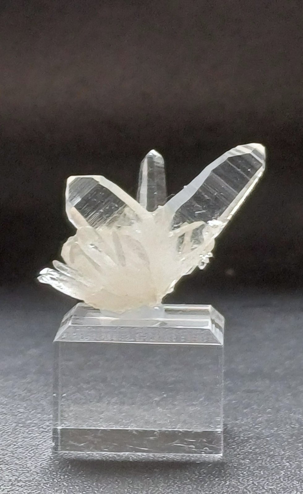 Quartz
35mm X 30mm X 20mm
(Autor: Philippe Durand)