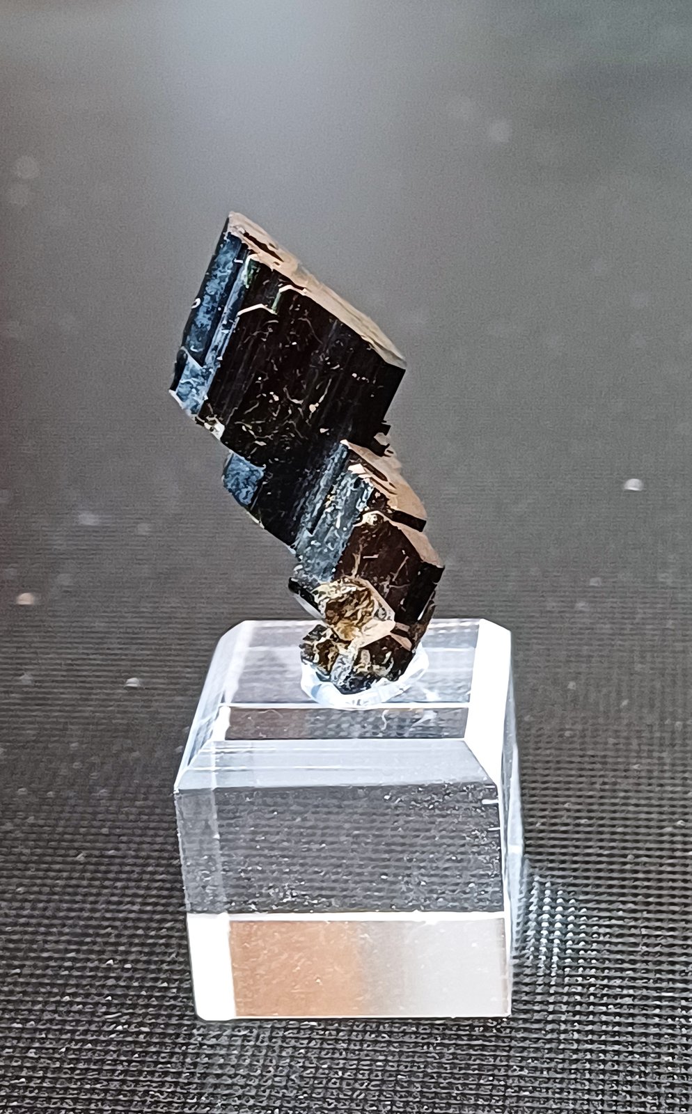 Augite
30mm x 10mm x 6mm
(Autor: Philippe Durand)