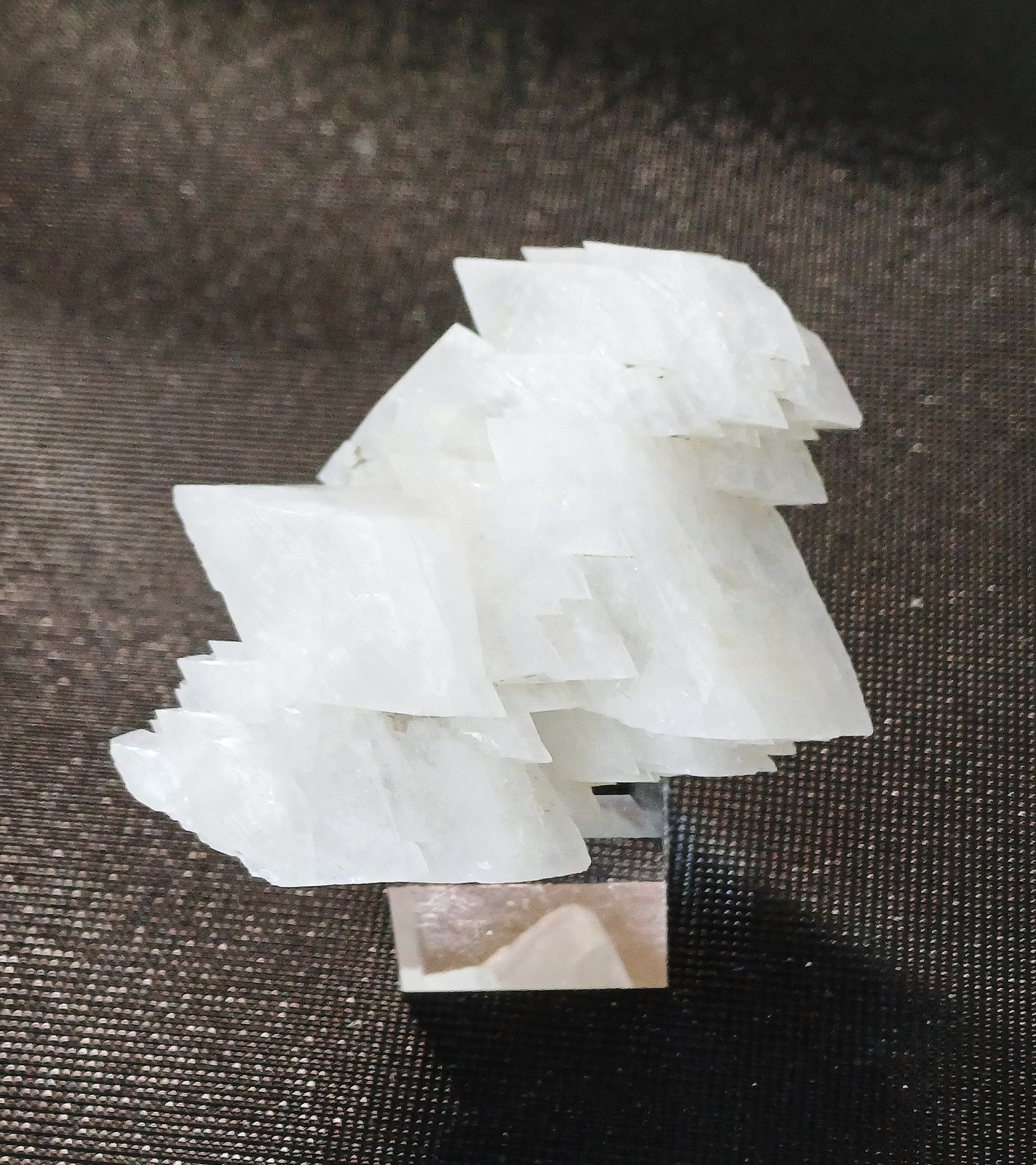 Albite (variety adularia)
50mm x 45mm x 30mm
(Autor: Philippe Durand)