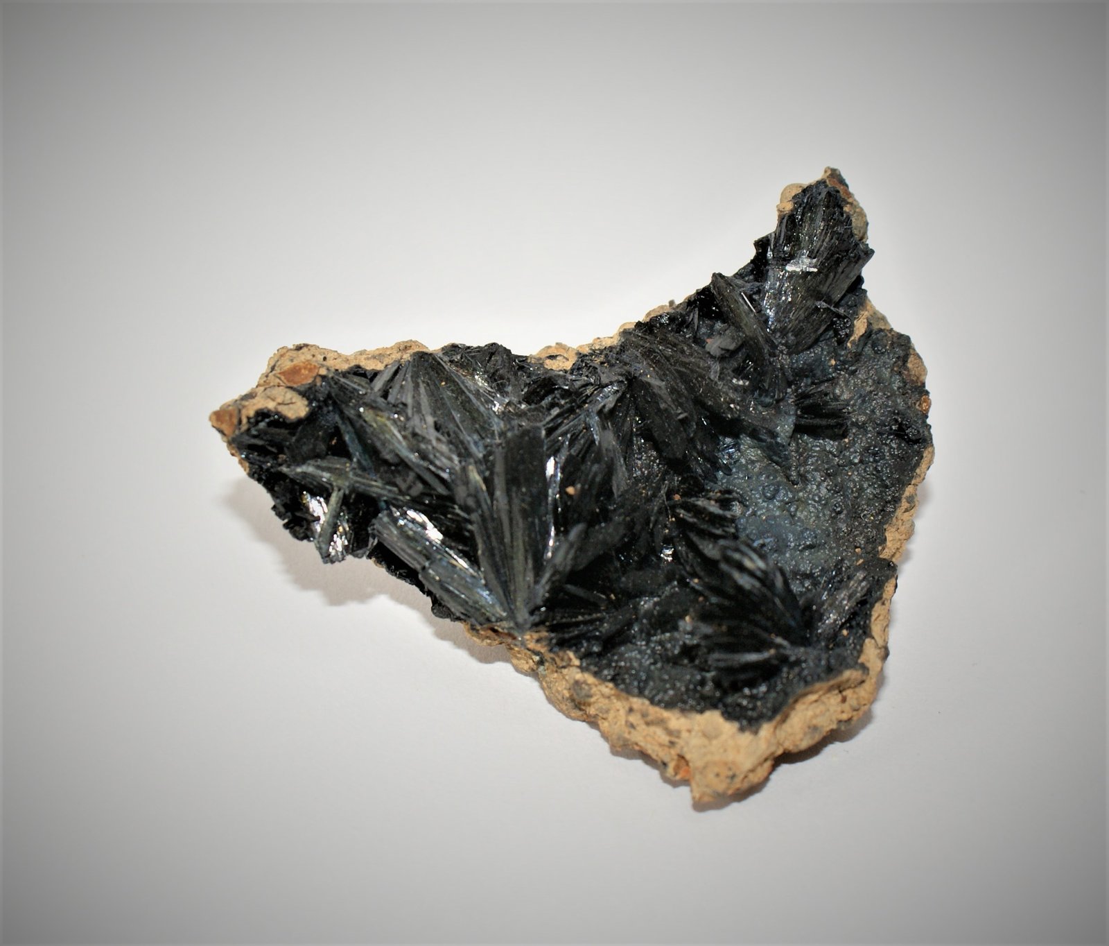 Vivianite
70mm x 50mm x 20mm
(Autor: Philippe Durand)
