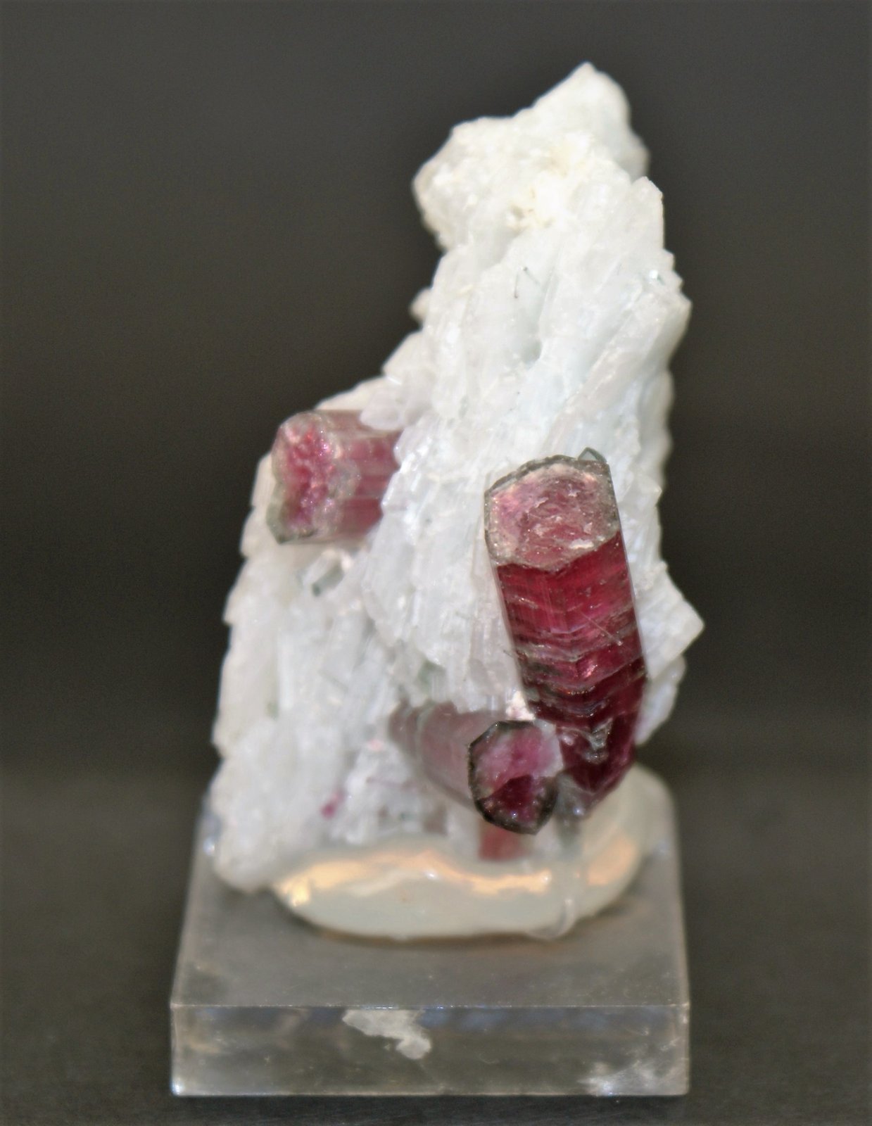 Elbaite and Albite (variety cleavelandite)
45mm x 30mm x 20mm
(Autor: Philippe Durand)