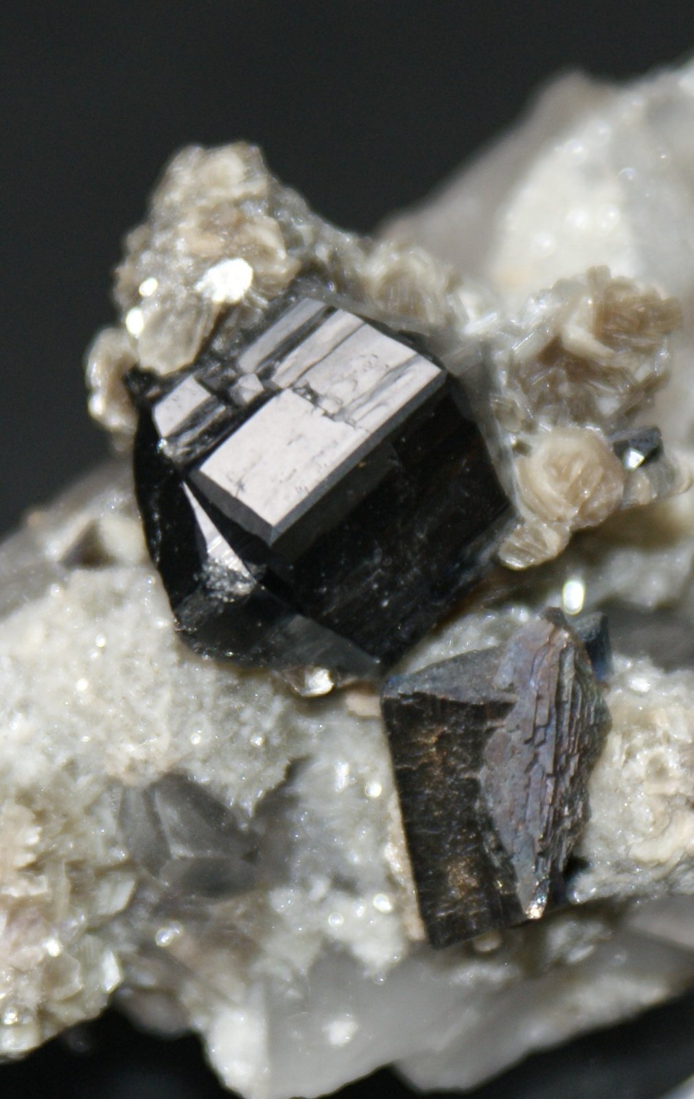 Cassiterite
70mm x 40mm x 40mm
(Autor: Philippe Durand)