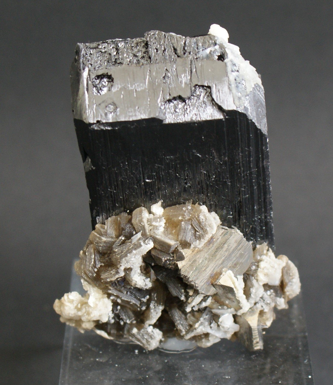 Ferberite (Wolframite Group)
40mm x 30mm x 10mm
(Autor: Philippe Durand)