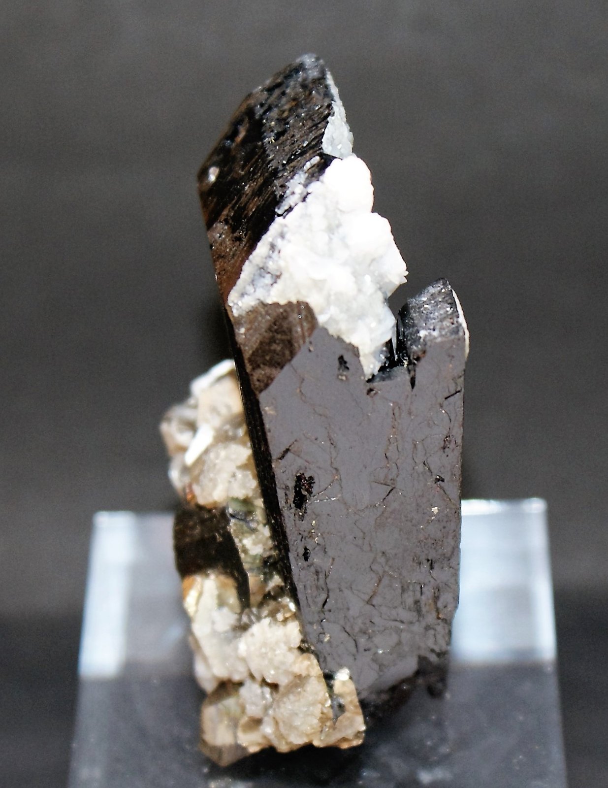 Ferberite (Wolframite Group)
40mm x 30mm x 10mm
(Autor: Philippe Durand)