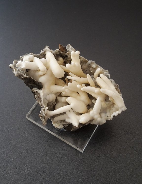 Aragonite (variety flos ferri)
3,5 x 3 cm
(Autor: Andreas Gerstenberg)
