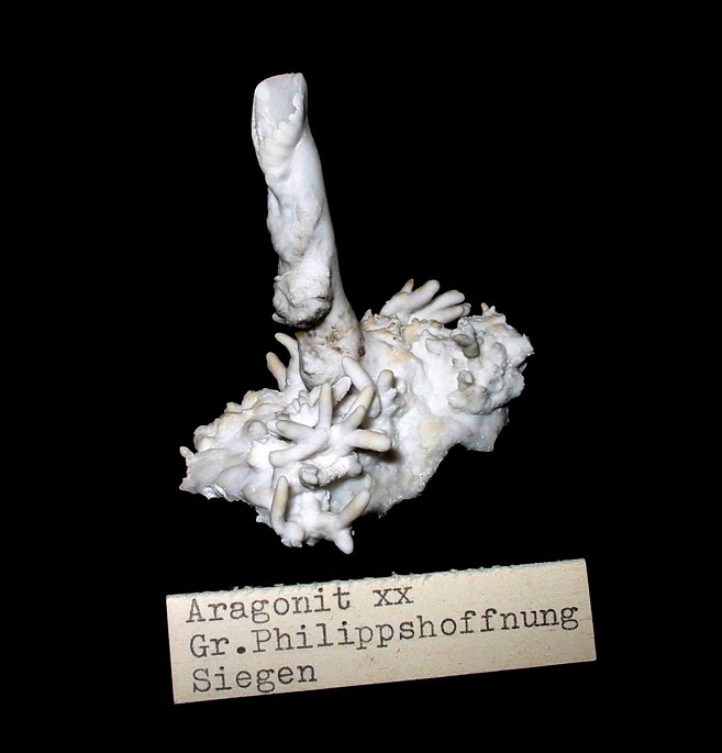 Aragonite (var. flos ferri)
60 x 55 x 45 mm
(Autor: Andreas Gerstenberg)