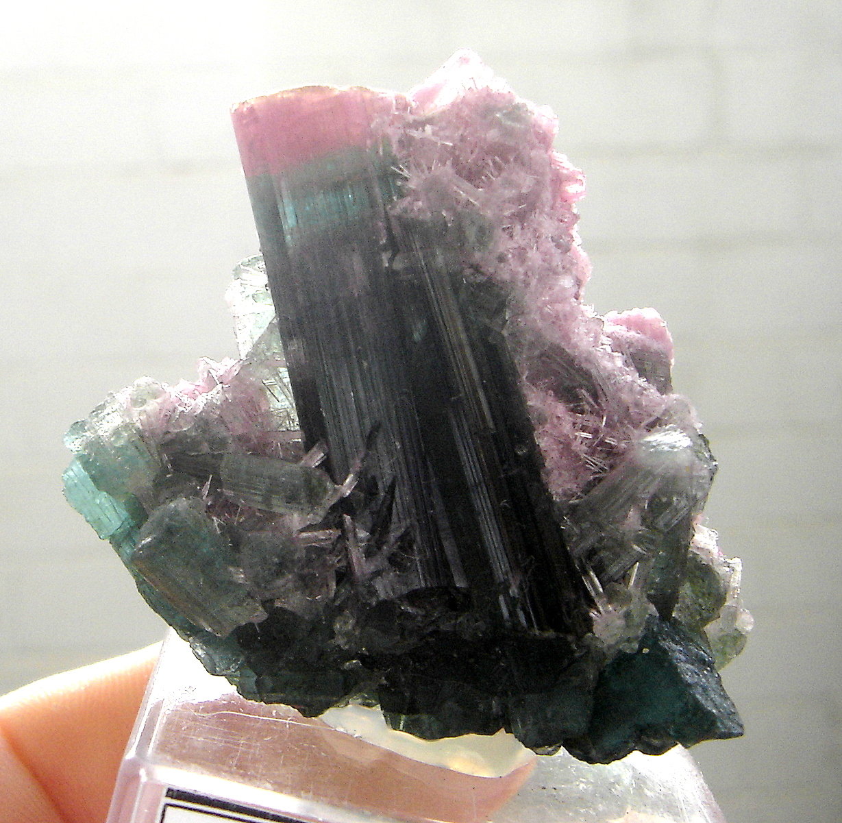 Elbaite
4,5 x 4,4 x 3,4 cm
(Autor: Anísio Cláudio)