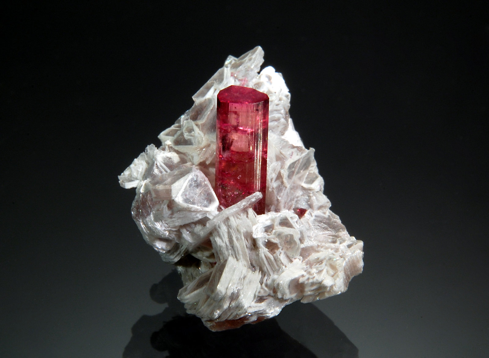 Elbaite
2.1 x 2.7 cm
(Autor: Michael Shaw)