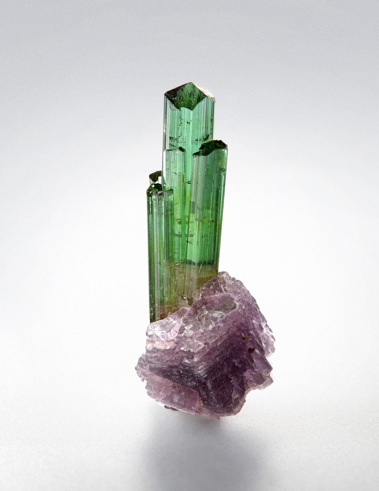 Elbaite, Lepidolite
32 x 20 x 18 mm
(Autor: TamaHiguchi)