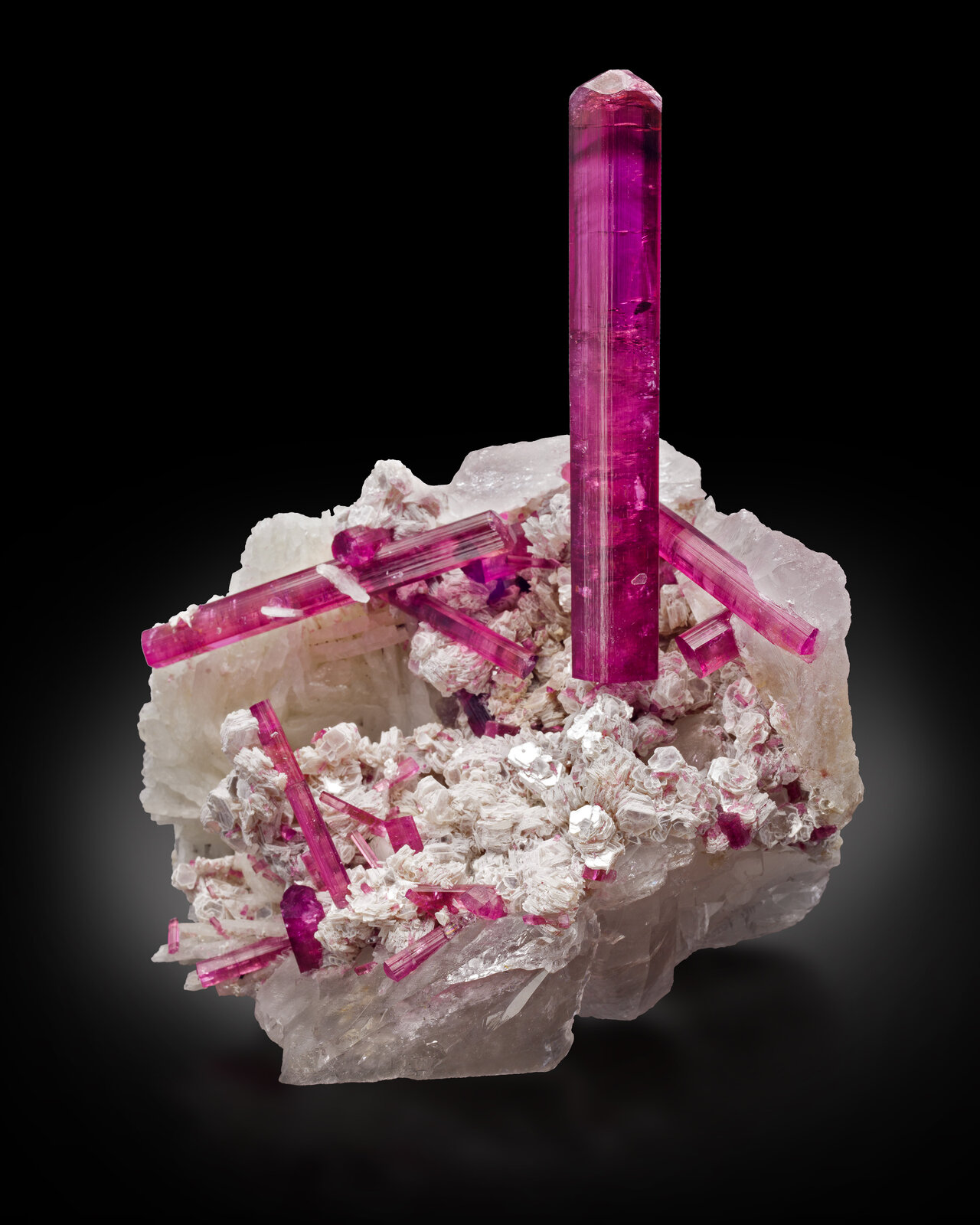 Elbaite (variety rubellite) on Albite and Quartz
Mina Jonás, (João Pinto Mine; Jonas Mine; Lavra do Fiote), Zona de Itatiaia, distrito pegmatítico Conselheiro Pena, Municipio Conselheiro Pena, Vale do Rio Doce, Minas Gerais, Brasil
13 x 12 x 16.5 cm / main crystal: 10.5 cm
(Autor: MIM Museum)