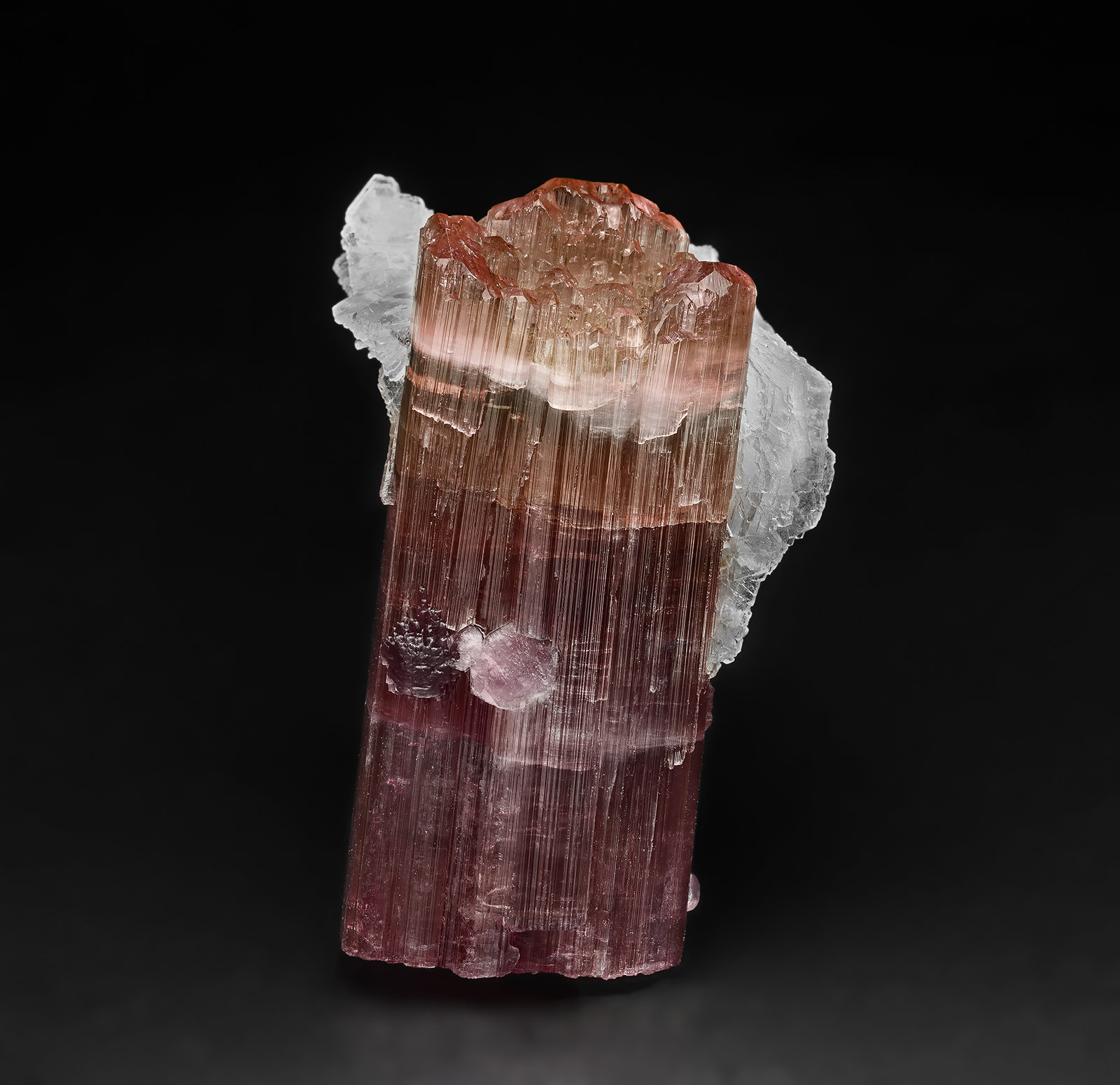 Elbaite, Albite (variety cleavelandite)
5.6 x 3.4 cm
(Autor: am mizunaka)