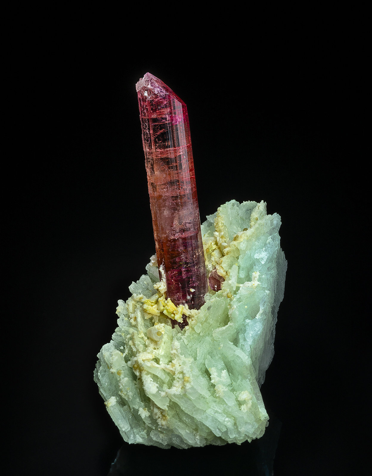 Elbaite (variety rubellite), Albite
9.6 x 4.6 cm
(Autor: am mizunaka)