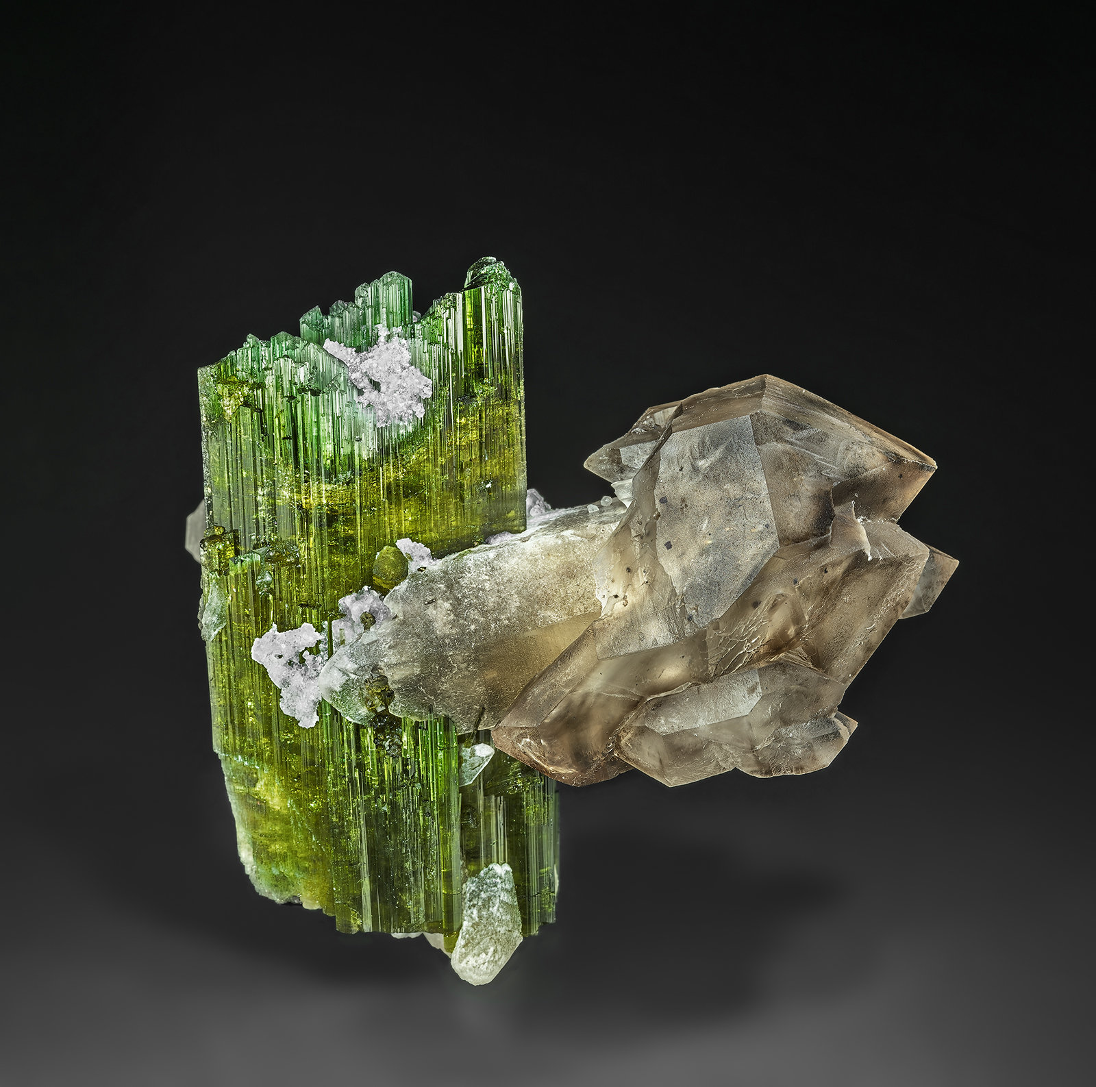 Elbaite, Quartz (variety smoky quartz)
6.5 x 7.5 cm
(Autor: am mizunaka)