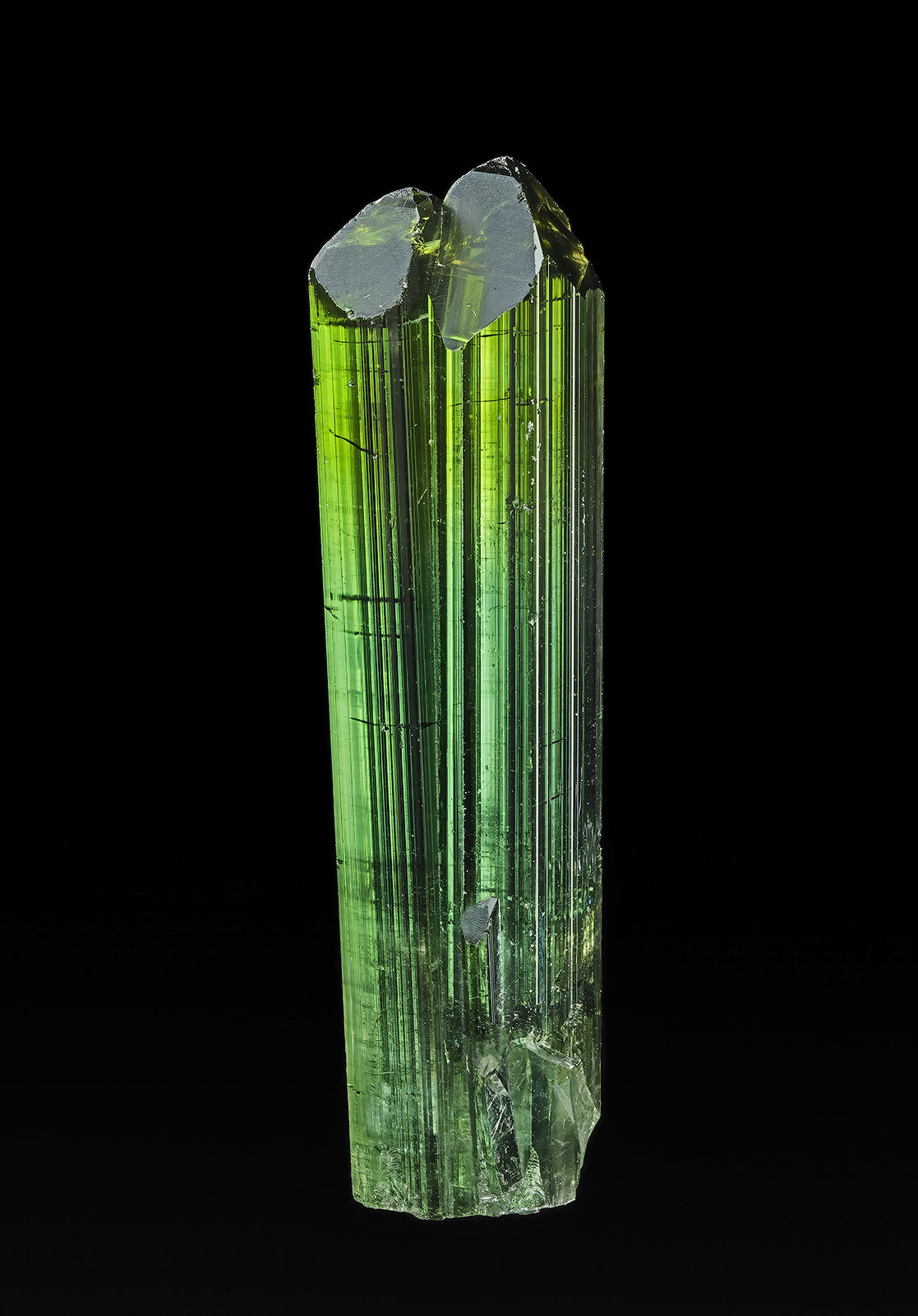 Elbaite
6.1 x 1.6 cm
(Autor: am mizunaka)