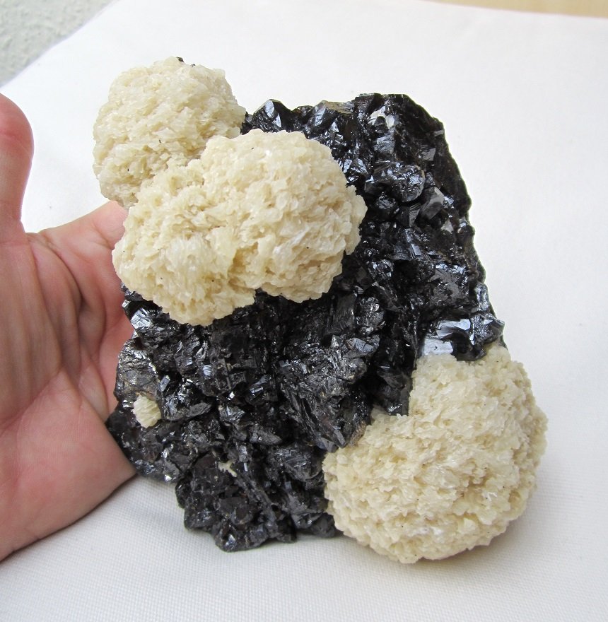 Barite on Sphalerite
Specimen size 15 cm, largest barite "ball" 6,5 cm
(Autor: Tobi)