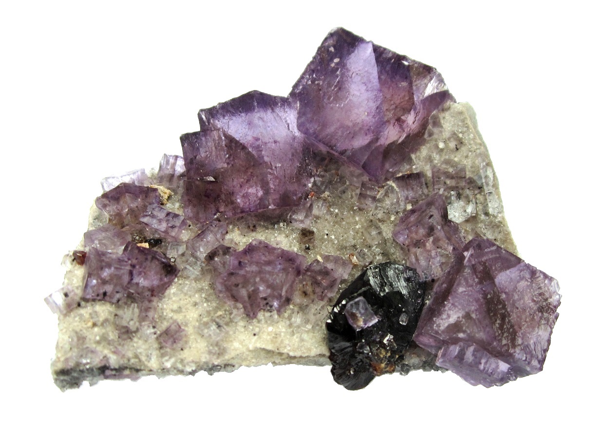 Fluorite, sphalerite
Specimen size 7 cm, largest fluorite 2 cm
(Autor: Tobi)