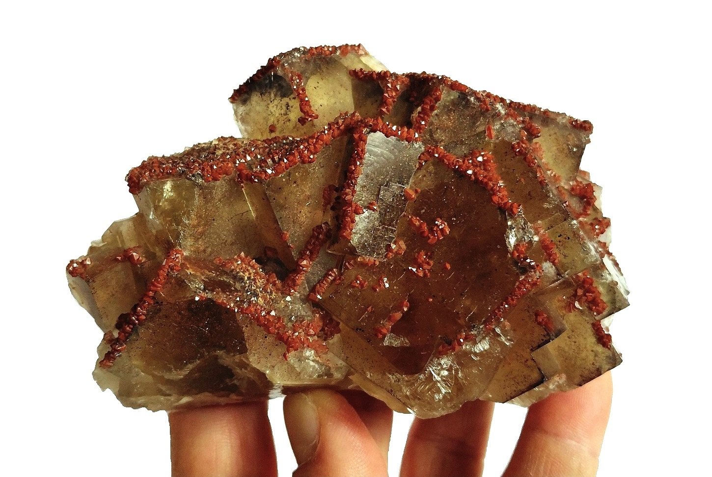 Fluorite, Quartz (variety eisenkiesel)
Specimen size 11,5 x 8 cm, largest fluorite crystals 4 cm
(Autor: Tobi)