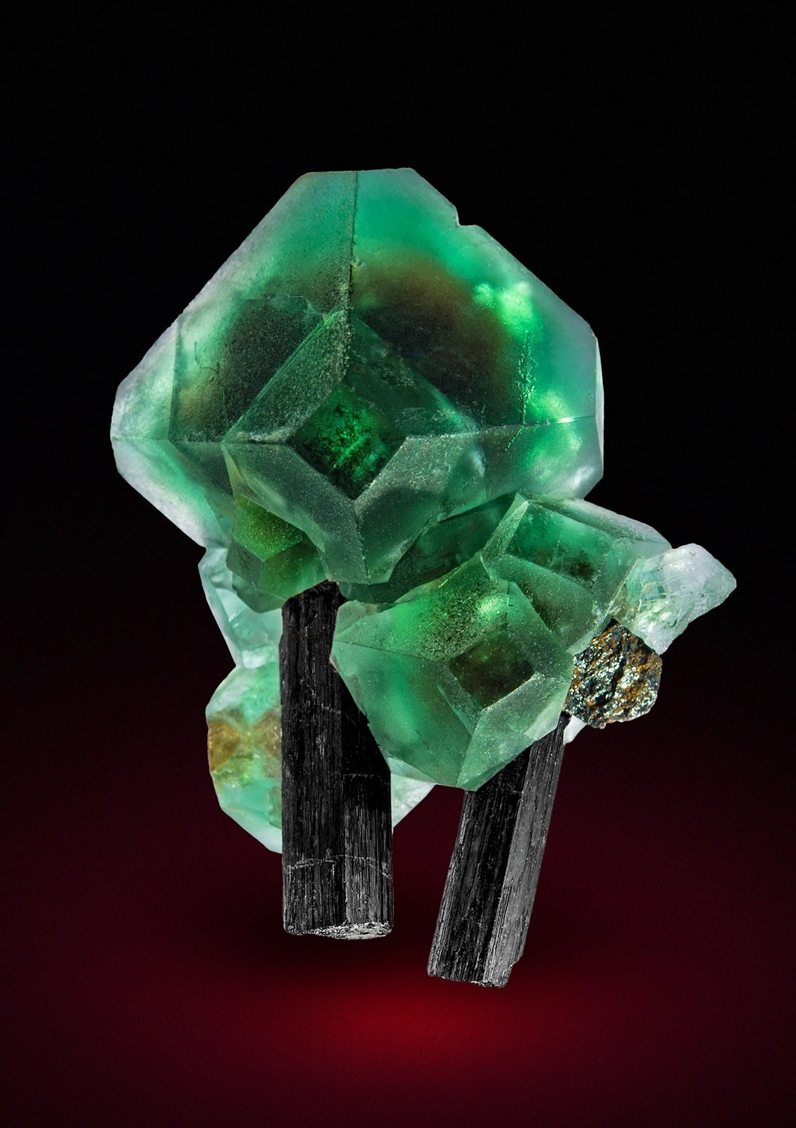 Fluorite, Schorl
Specimen height 3,5 cm
(Autor: Tobi)