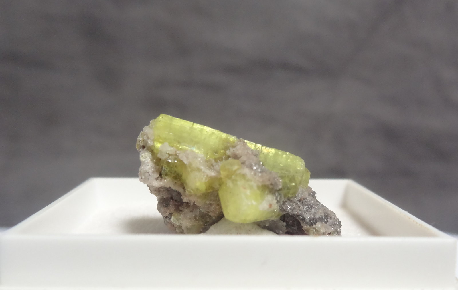 Ettringite
2 x 0,7 x 0,7cm
(Autor: Dave van Bladel)