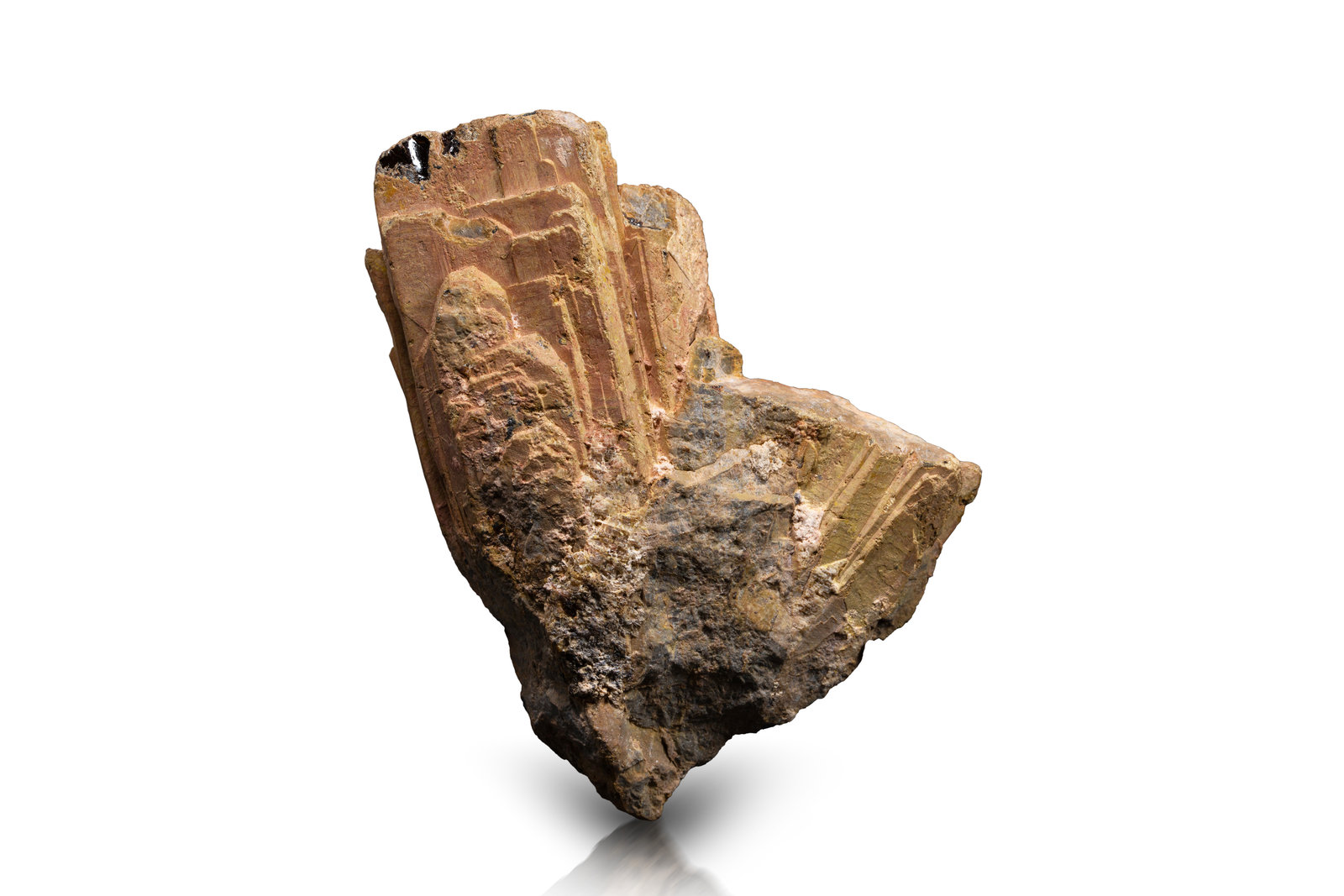 Euxenite-(Y)
8.5 x 4.5 x 12 cm / main crystal: 11.6 cm.
(Autor: MIM Museum)